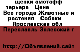щенки амстафф терьера › Цена ­ 30 000 - Все города Животные и растения » Собаки   . Ярославская обл.,Переславль-Залесский г.